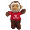 GG1587: Cuddly Monkey